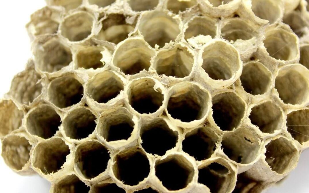 چسب زنبور عسل برای افزایش قدرت